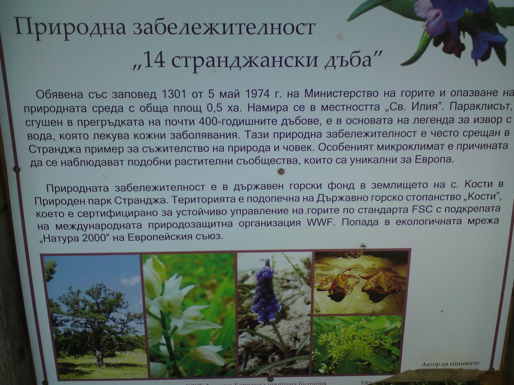 Натиснете снимката за да я уголемите
Име:DSC01252.jpg
Прегледи:1
Размер:167.1 КБ
ID:5976581