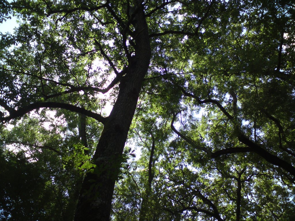 Натиснете снимката за да я уголемите
Име:DSC01253.jpg
Прегледи:1
Размер:318.8 КБ
ID:5976582