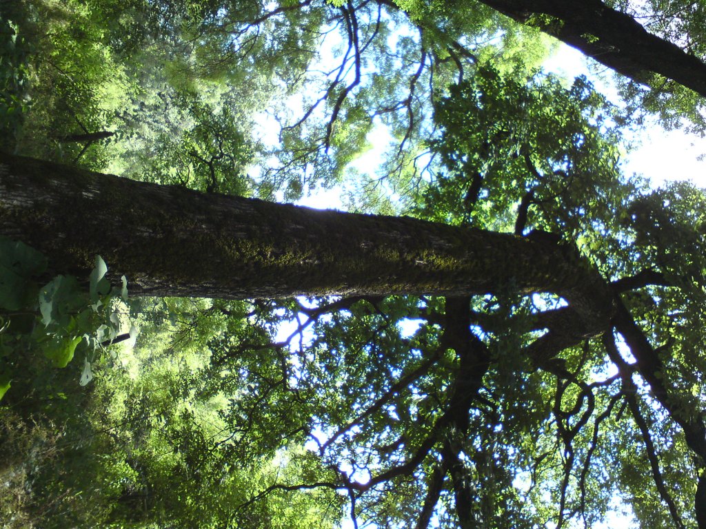 Натиснете снимката за да я уголемите
Име:DSC01254.jpg
Прегледи:1
Размер:304.8 КБ
ID:5976583