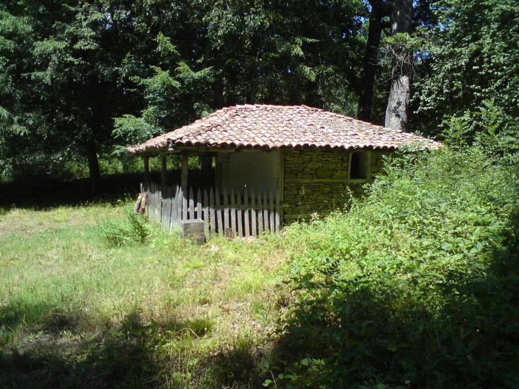 Натиснете снимката за да я уголемите
Име:DSC01255.jpg
Прегледи:1
Размер:265.6 КБ
ID:5976584