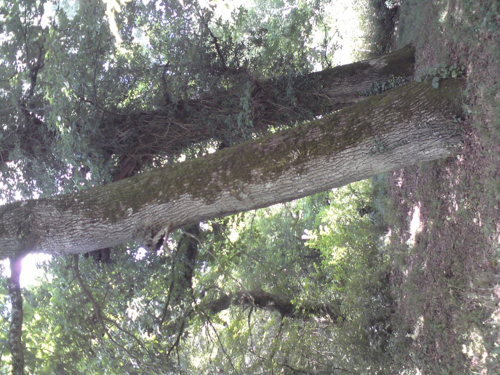 Натиснете снимката за да я уголемите
Име:DSC01257.jpg
Прегледи:1
Размер:262.5 КБ
ID:5976586