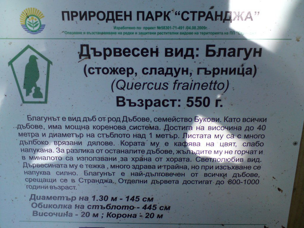 Натиснете снимката за да я уголемите
Име:DSC01267.jpg
Прегледи:1
Размер:153.5 КБ
ID:5976595