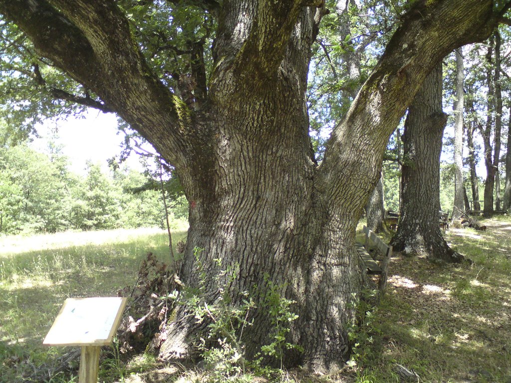 Натиснете снимката за да я уголемите
Име:DSC01268.jpg
Прегледи:1
Размер:300.0 КБ
ID:5976596