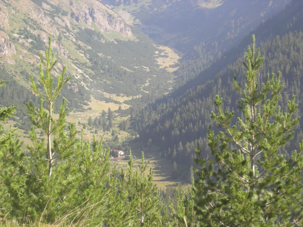 Натиснете снимката за да я уголемите
Име:DSCN0745.jpg
Прегледи:2
Размер:188.1 КБ
ID:5978714