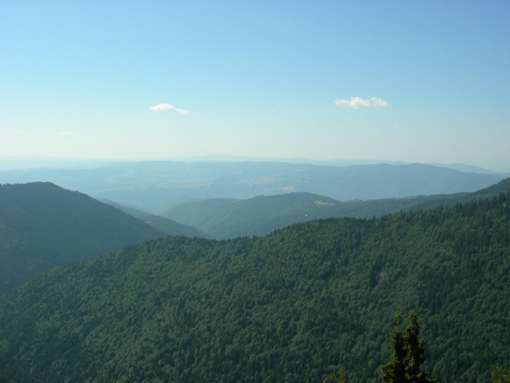 Натиснете снимката за да я уголемите
Име:DSCN0788.jpg
Прегледи:2
Размер:80.8 КБ
ID:5978751
