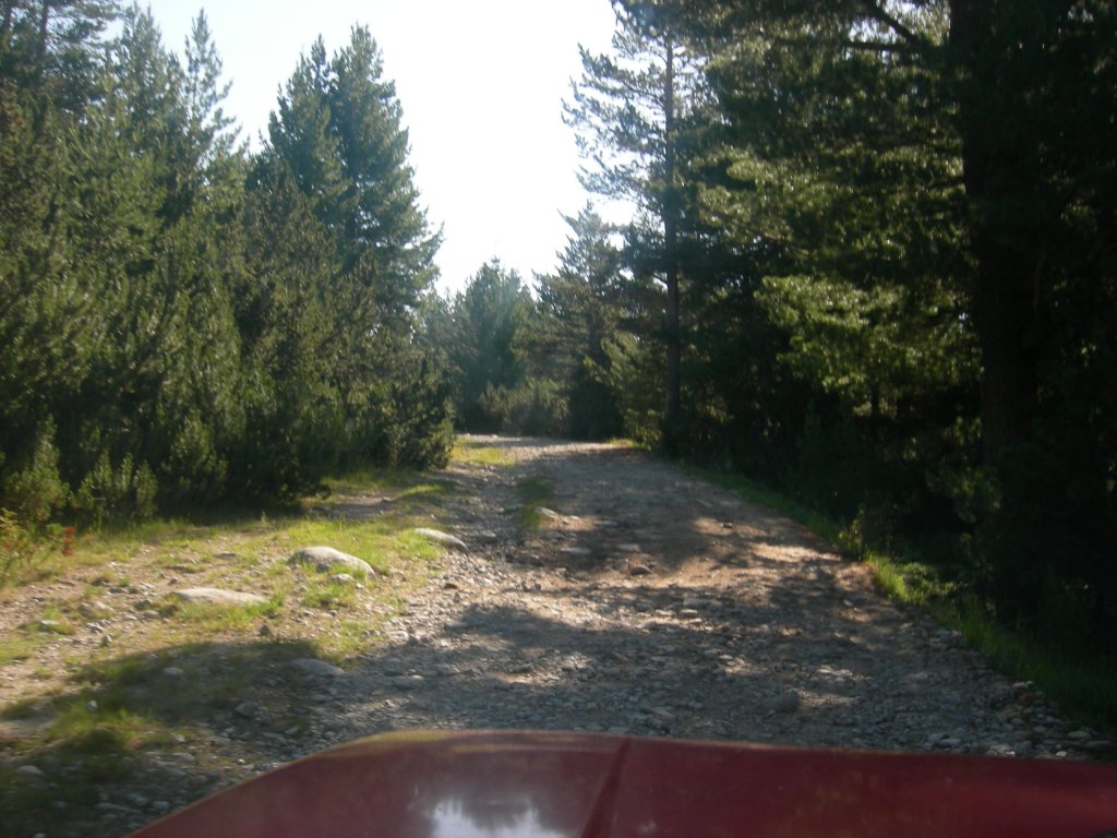 Натиснете снимката за да я уголемите
Име:DSCN0722.jpg
Прегледи:1
Размер:151.7 КБ
ID:5978693