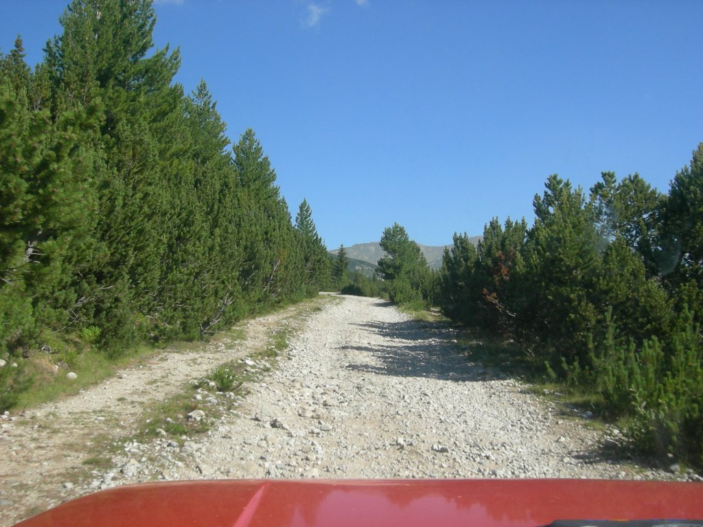 Натиснете снимката за да я уголемите
Име:DSCN0723.jpg
Прегледи:1
Размер:169.2 КБ
ID:5978694