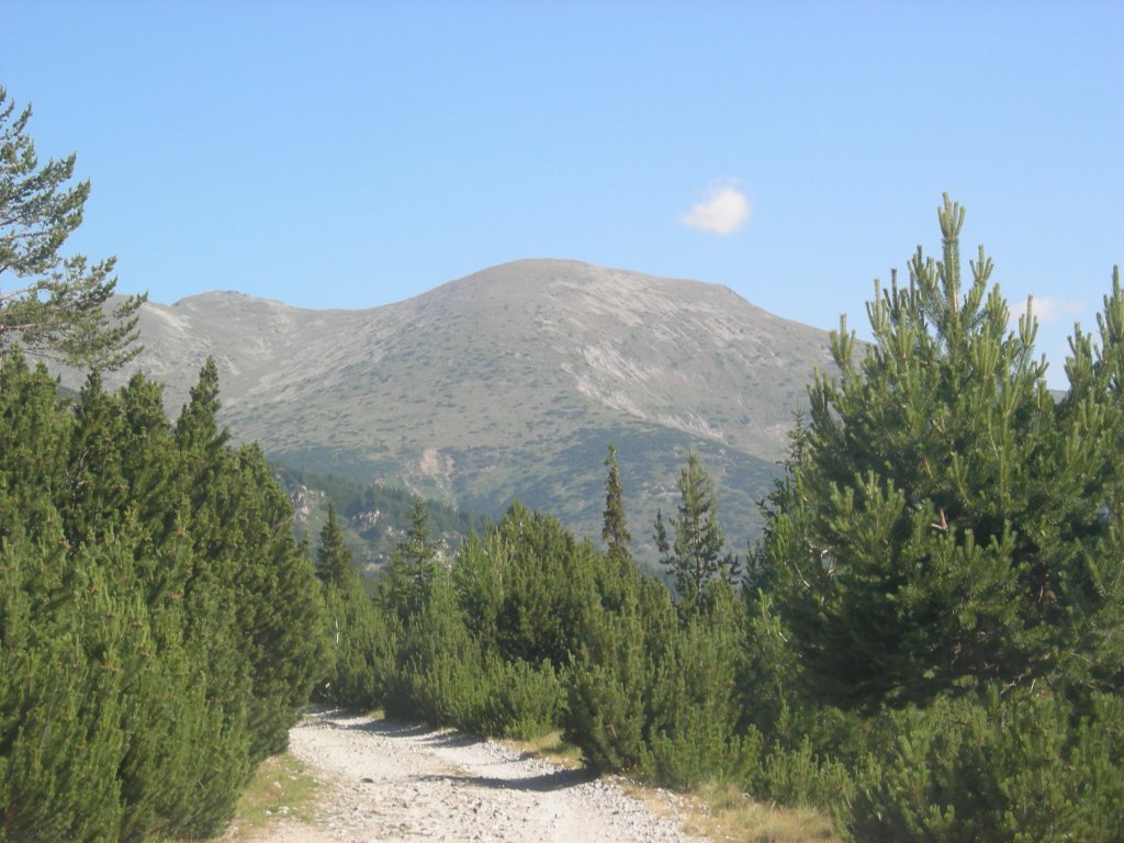 Натиснете снимката за да я уголемите
Име:DSCN0727.jpg
Прегледи:1
Размер:143.0 КБ
ID:5978697