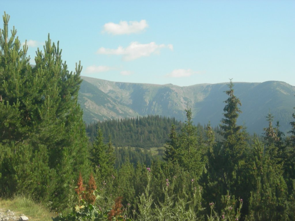 Натиснете снимката за да я уголемите
Име:DSCN0728.jpg
Прегледи:1
Размер:124.8 КБ
ID:5978698