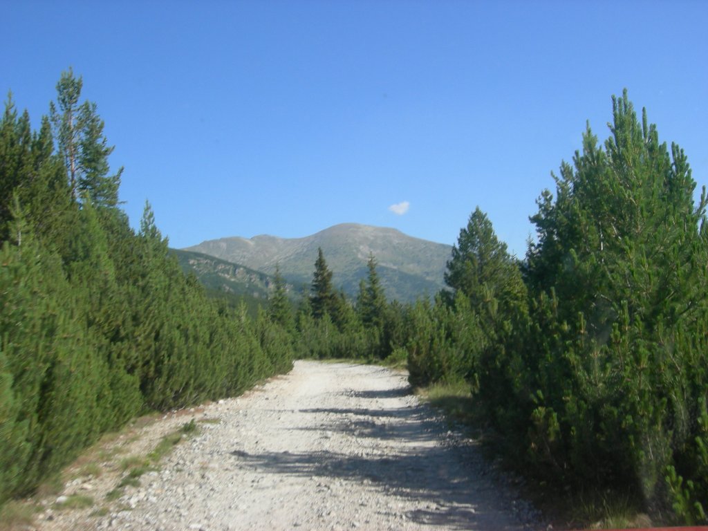 Натиснете снимката за да я уголемите
Име:DSCN0730.jpg
Прегледи:1
Размер:123.9 КБ
ID:5978699