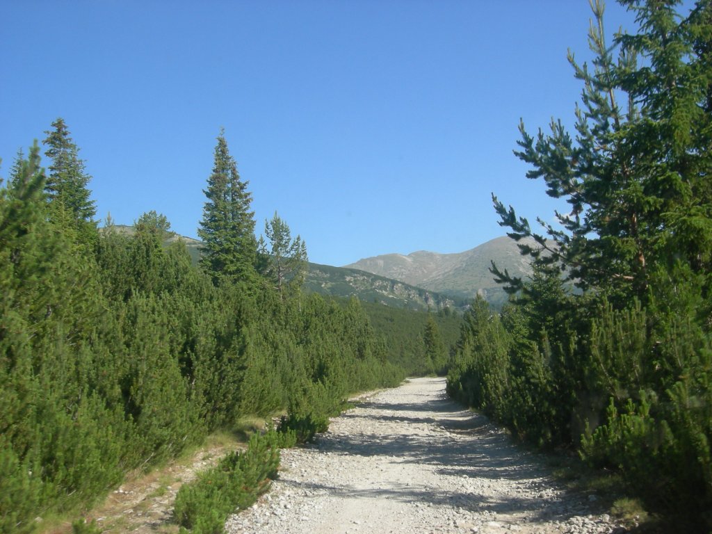 Натиснете снимката за да я уголемите
Име:DSCN0731.jpg
Прегледи:1
Размер:163.3 КБ
ID:5978700