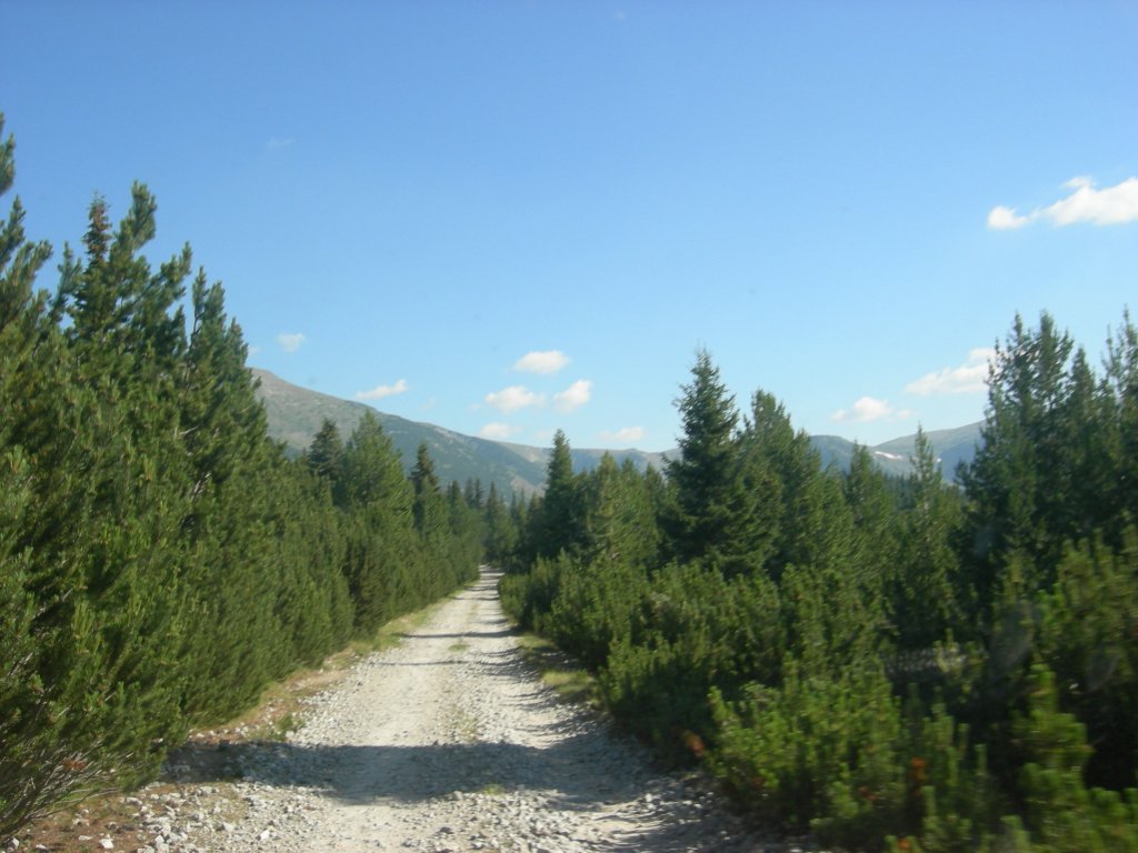 Натиснете снимката за да я уголемите
Име:DSCN0732.jpg
Прегледи:1
Размер:121.1 КБ
ID:5978701