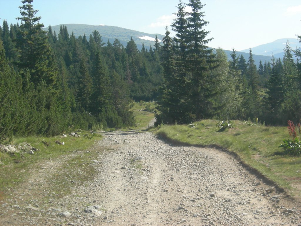 Натиснете снимката за да я уголемите
Име:DSCN0734.jpg
Прегледи:1
Размер:188.7 КБ
ID:5978703