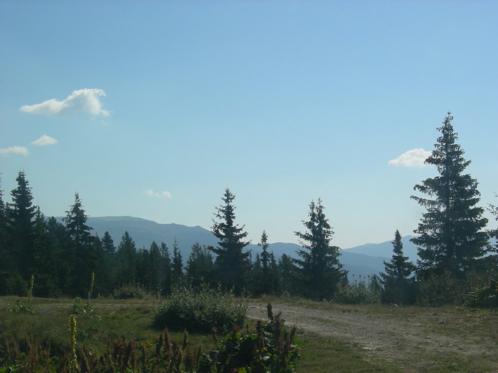 Натиснете снимката за да я уголемите
Име:DSCN0735.jpg
Прегледи:1
Размер:91.5 КБ
ID:5978704