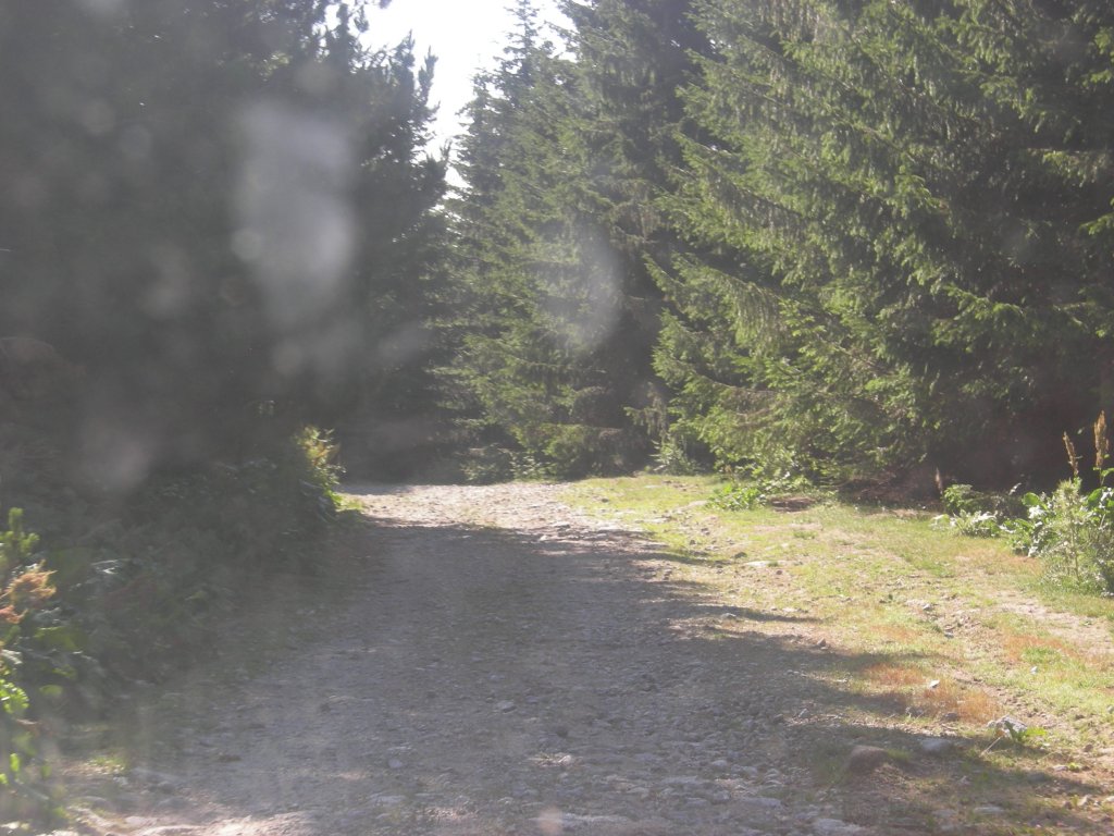 Натиснете снимката за да я уголемите
Име:DSCN0736.jpg
Прегледи:1
Размер:147.9 КБ
ID:5978705