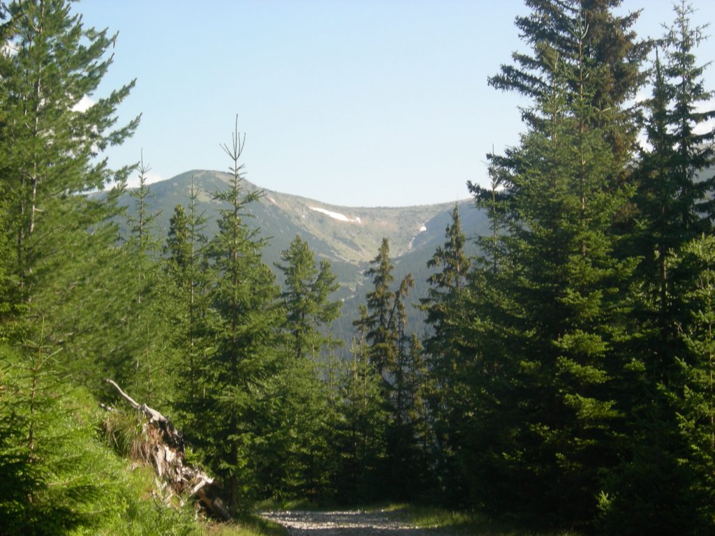 Натиснете снимката за да я уголемите
Име:DSCN0740.jpg
Прегледи:1
Размер:169.4 КБ
ID:5978709