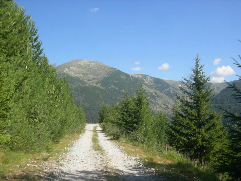 Натиснете снимката за да я уголемите
Име:DSCN0741.jpg
Прегледи:1
Размер:162.7 КБ
ID:5978710