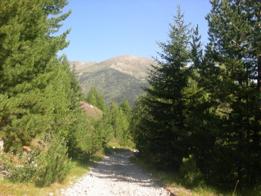 Натиснете снимката за да я уголемите
Име:DSCN0744.jpg
Прегледи:1
Размер:170.9 КБ
ID:5978713