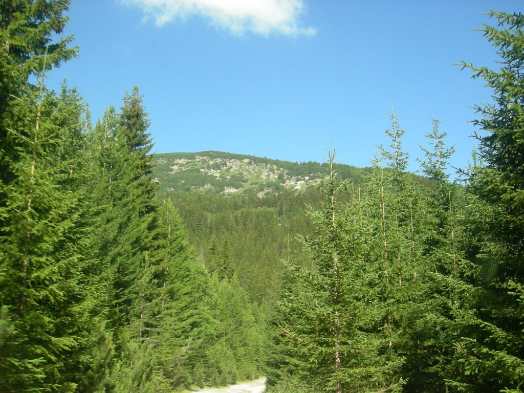 Натиснете снимката за да я уголемите
Име:DSCN0746.jpg
Прегледи:1
Размер:209.6 КБ
ID:5978715