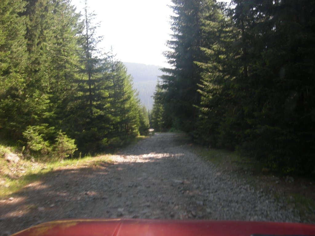 Натиснете снимката за да я уголемите
Име:DSCN0749.jpg
Прегледи:1
Размер:128.0 КБ
ID:5978717