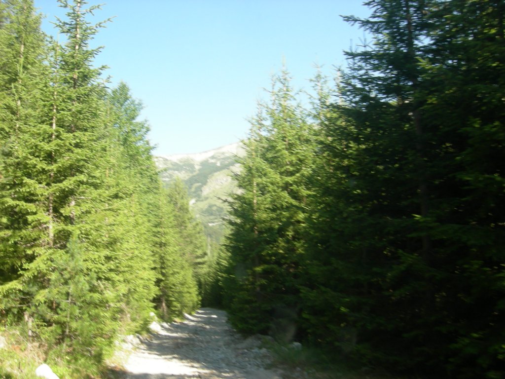 Натиснете снимката за да я уголемите
Име:DSCN0750.jpg
Прегледи:1
Размер:159.5 КБ
ID:5978718