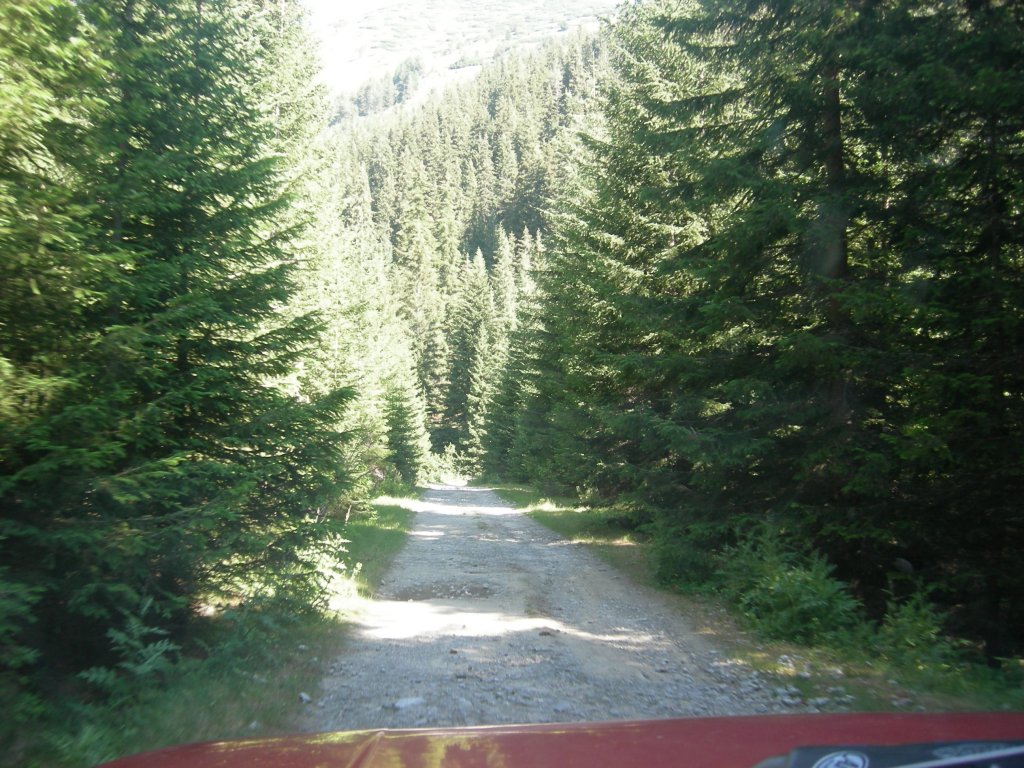 Натиснете снимката за да я уголемите
Име:DSCN0751.jpg
Прегледи:1
Размер:210.7 КБ
ID:5978719