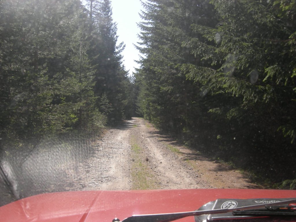 Натиснете снимката за да я уголемите
Име:DSCN0752.jpg
Прегледи:1
Размер:160.9 КБ
ID:5978720