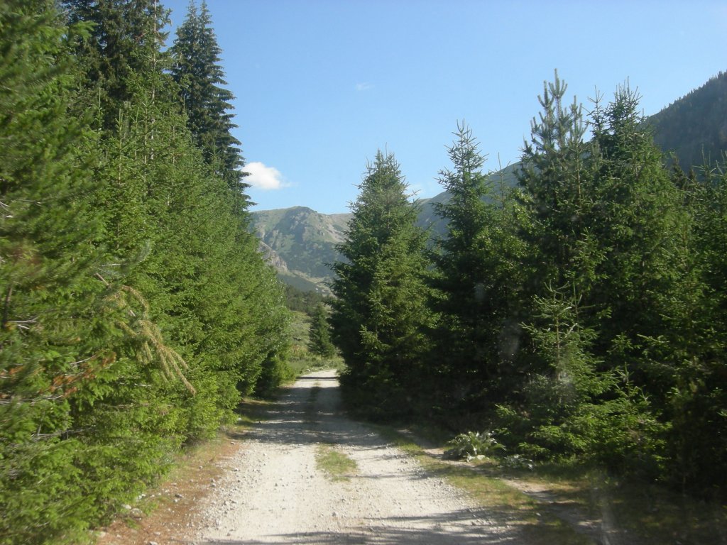 Натиснете снимката за да я уголемите
Име:DSCN0753.jpg
Прегледи:1
Размер:190.3 КБ
ID:5978721