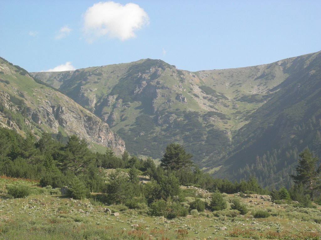 Натиснете снимката за да я уголемите
Име:DSCN0755.jpg
Прегледи:1
Размер:149.5 КБ
ID:5978723