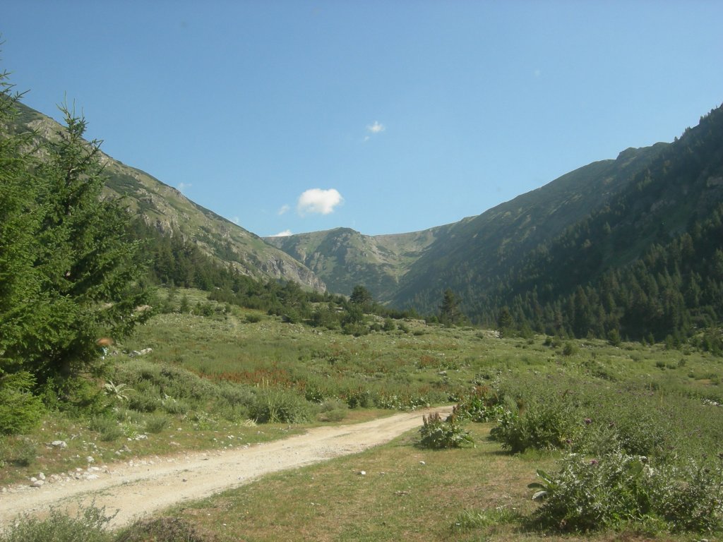 Натиснете снимката за да я уголемите
Име:DSCN0756.jpg
Прегледи:1
Размер:152.8 КБ
ID:5978724