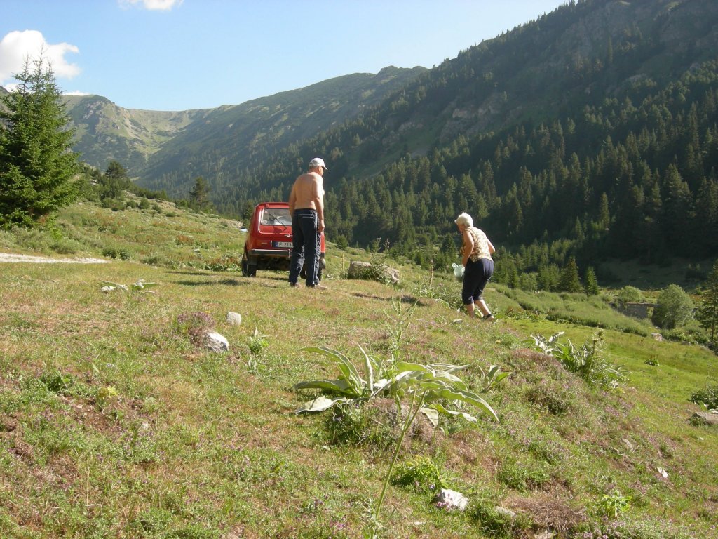 Натиснете снимката за да я уголемите
Име:DSCN0760.jpg
Прегледи:1
Размер:227.8 КБ
ID:5978728