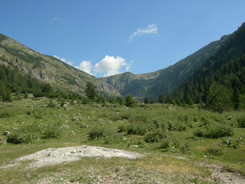 Натиснете снимката за да я уголемите
Име:DSCN0761.jpg
Прегледи:1
Размер:178.6 КБ
ID:5978729