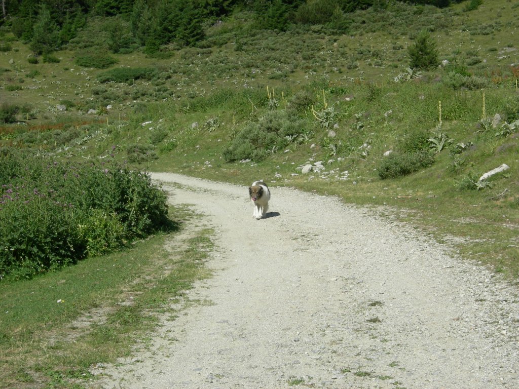 Натиснете снимката за да я уголемите
Име:DSCN0762.jpg
Прегледи:1
Размер:232.7 КБ
ID:5978730