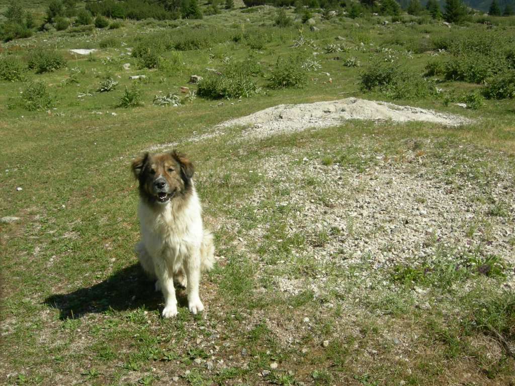 Натиснете снимката за да я уголемите
Име:DSCN0763.jpg
Прегледи:1
Размер:287.4 КБ
ID:5978731