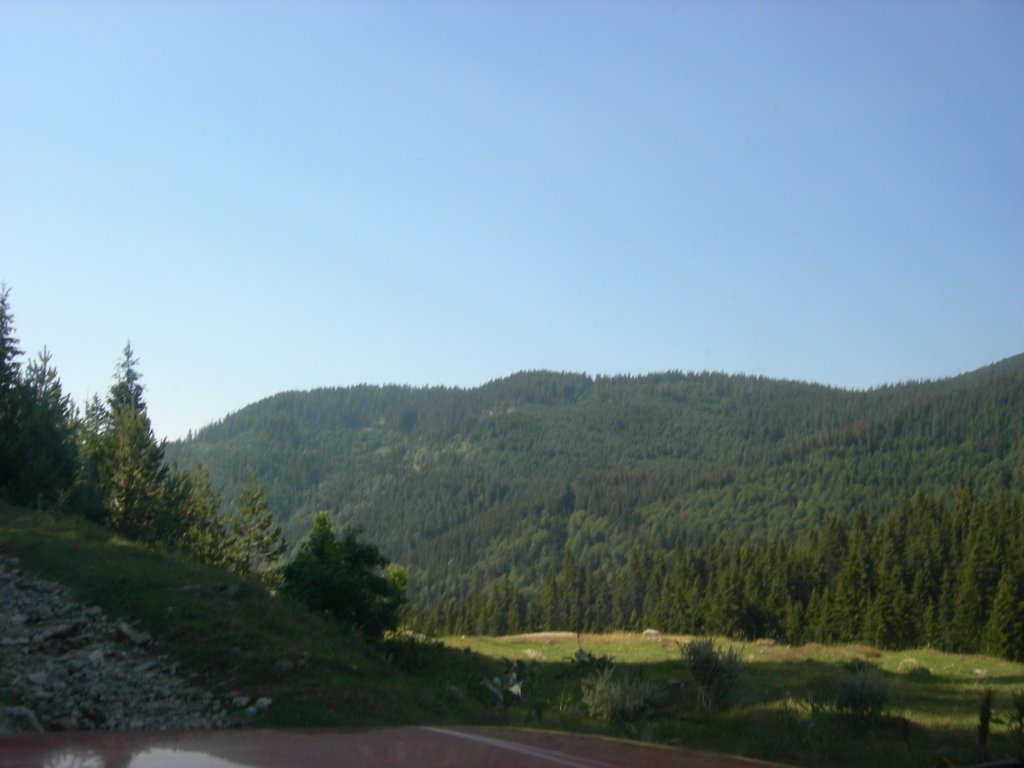 Натиснете снимката за да я уголемите
Име:DSCN0766.jpg
Прегледи:1
Размер:75.9 КБ
ID:5978733