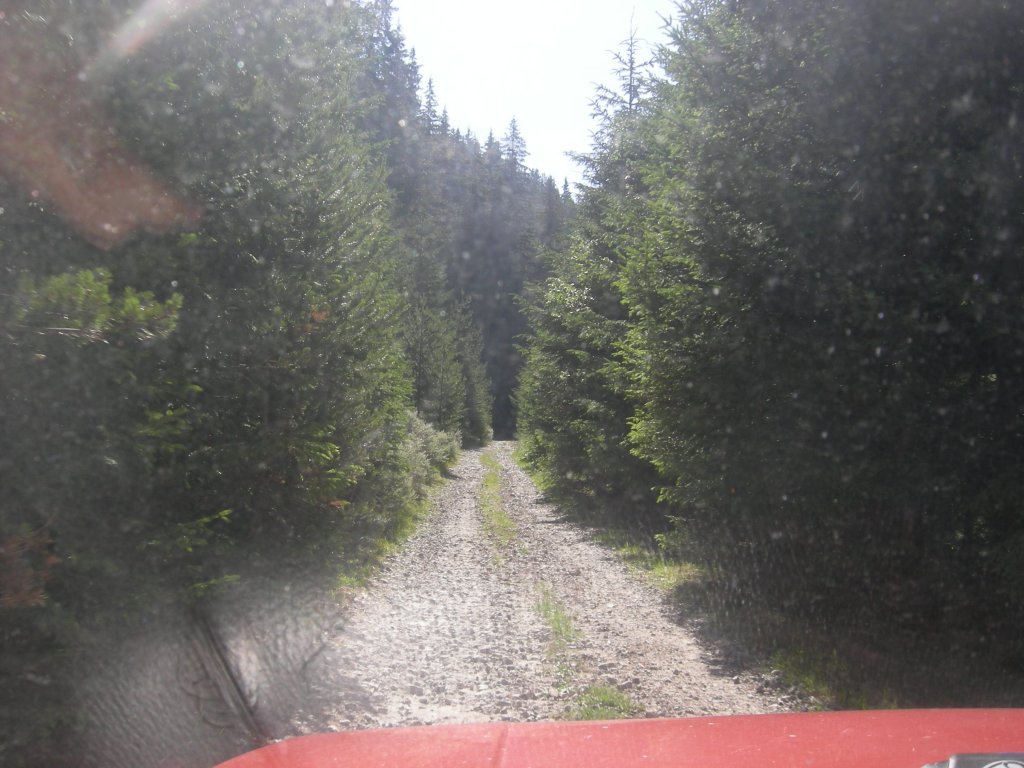 Натиснете снимката за да я уголемите
Име:DSCN0767.jpg
Прегледи:1
Размер:138.0 КБ
ID:5978734