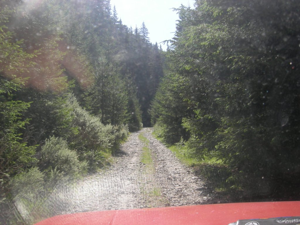 Натиснете снимката за да я уголемите
Име:DSCN0768.jpg
Прегледи:1
Размер:170.0 КБ
ID:5978735