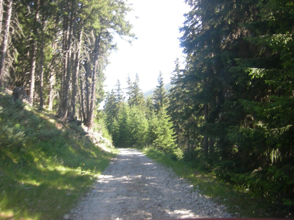 Натиснете снимката за да я уголемите
Име:DSCN0769.jpg
Прегледи:1
Размер:165.7 КБ
ID:5978736