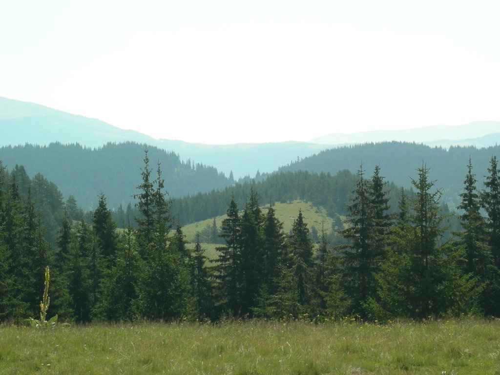 Натиснете снимката за да я уголемите
Име:DSCN0778.jpg
Прегледи:1
Размер:116.4 КБ
ID:5978741
