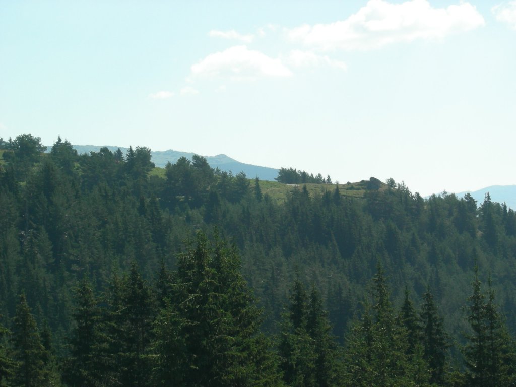 Натиснете снимката за да я уголемите
Име:DSCN0779.jpg
Прегледи:1
Размер:91.6 КБ
ID:5978742