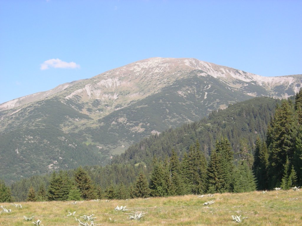 Натиснете снимката за да я уголемите
Име:DSCN0780.jpg
Прегледи:1
Размер:147.4 КБ
ID:5978743