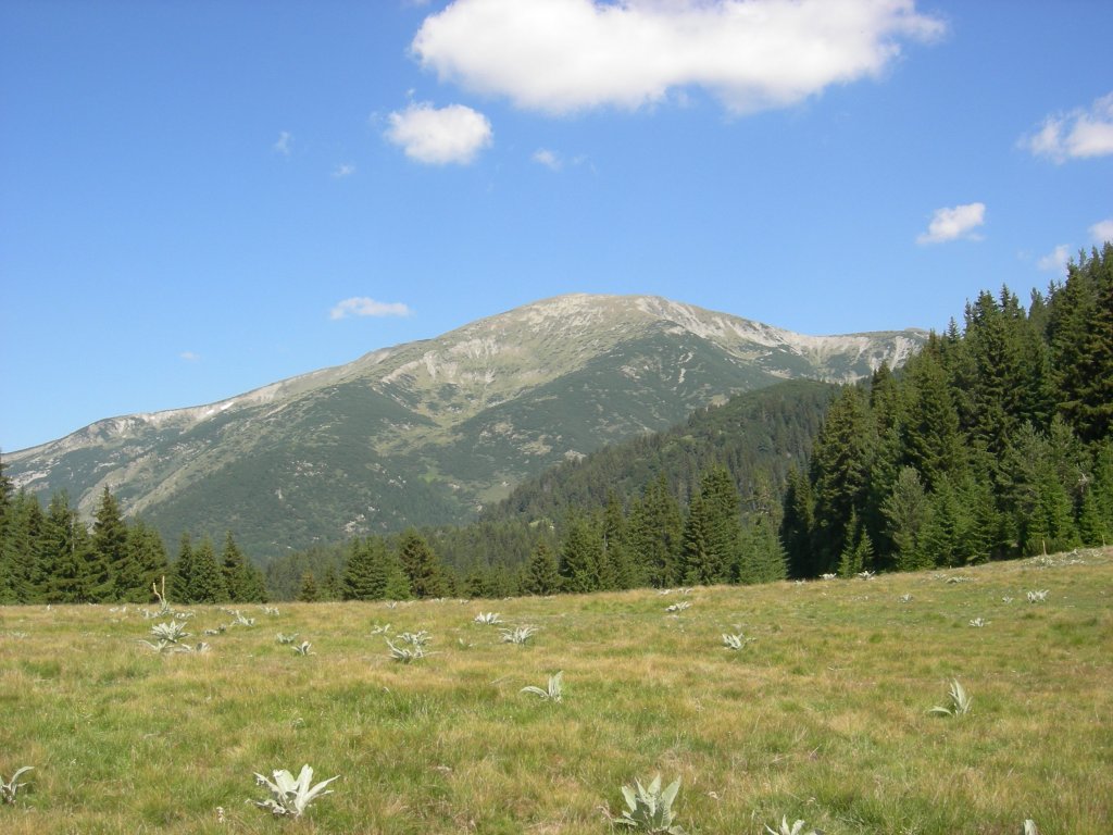 Натиснете снимката за да я уголемите
Име:DSCN0781.jpg
Прегледи:1
Размер:143.9 КБ
ID:5978744