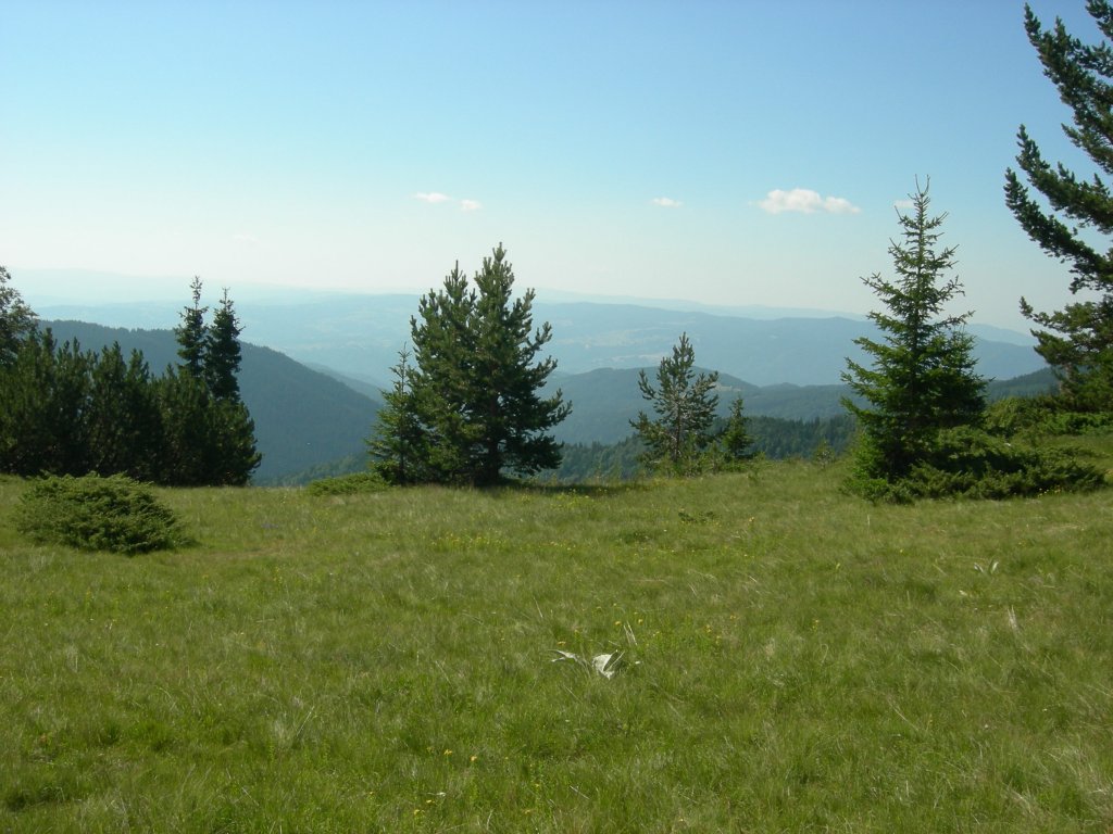 Натиснете снимката за да я уголемите
Име:DSCN0783.jpg
Прегледи:1
Размер:141.1 КБ
ID:5978746