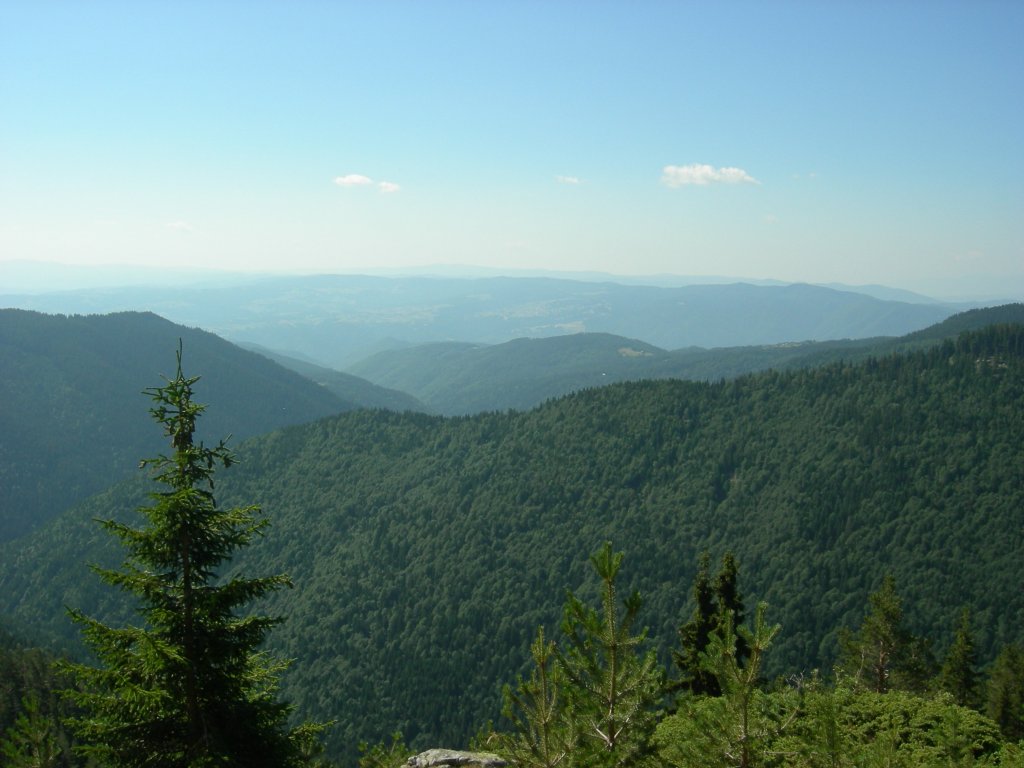 Натиснете снимката за да я уголемите
Име:DSCN0784.jpg
Прегледи:1
Размер:108.3 КБ
ID:5978747