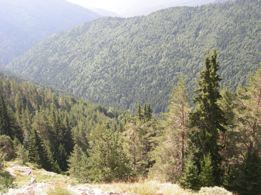 Натиснете снимката за да я уголемите
Име:DSCN0785.jpg
Прегледи:1
Размер:241.7 КБ
ID:5978748