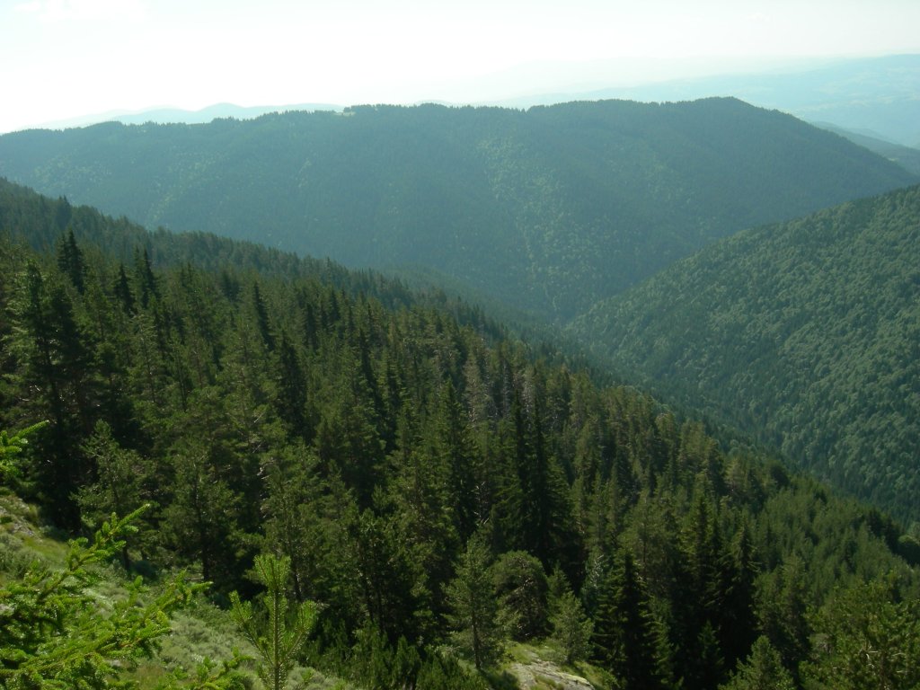 Натиснете снимката за да я уголемите
Име:DSCN0786.jpg
Прегледи:1
Размер:141.5 КБ
ID:5978749