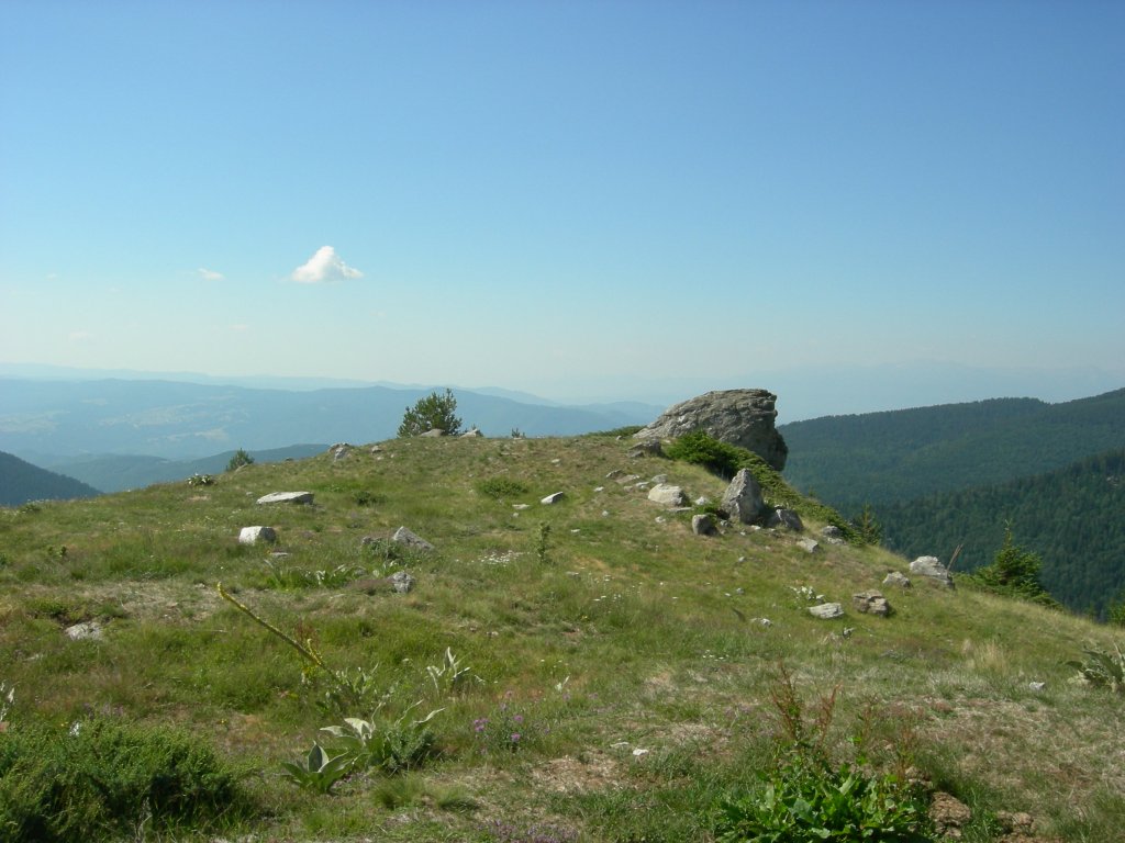 Натиснете снимката за да я уголемите
Име:DSCN0795.jpg
Прегледи:1
Размер:123.8 КБ
ID:5978753