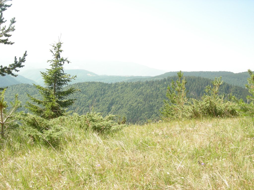 Натиснете снимката за да я уголемите
Име:DSCN0789.jpg
Прегледи:1
Размер:197.1 КБ
ID:5978754