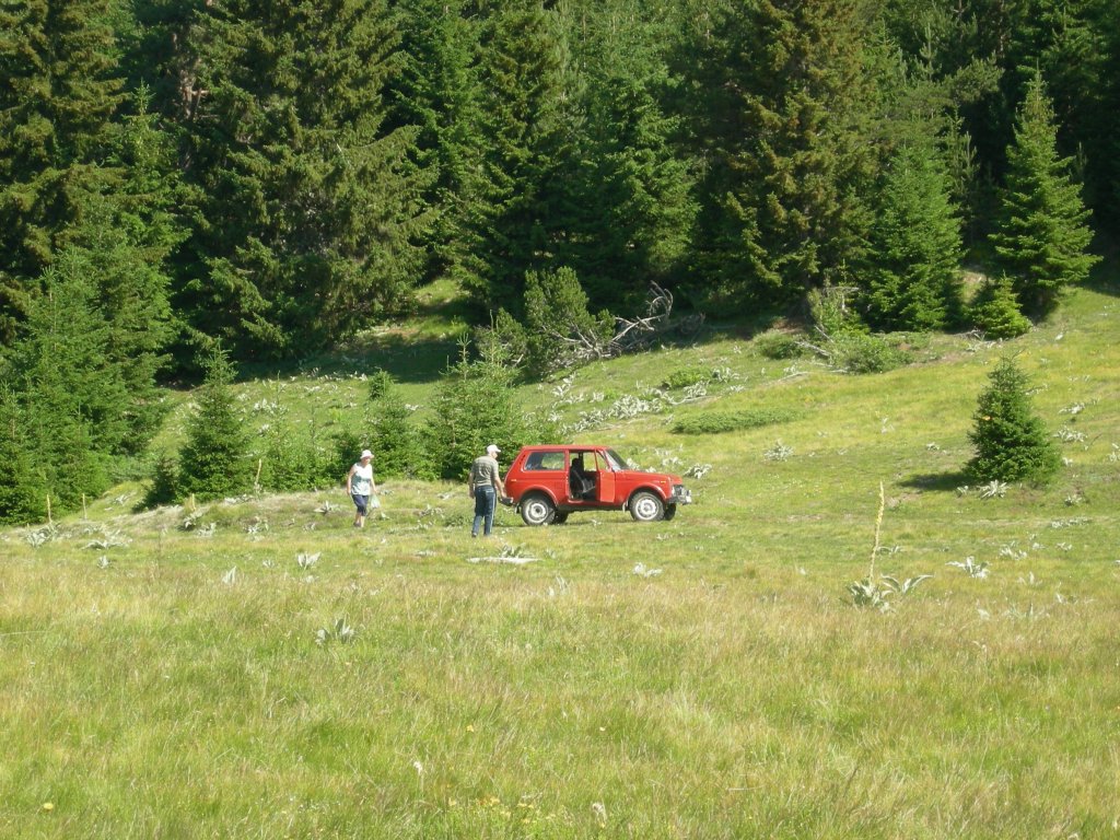 Натиснете снимката за да я уголемите
Име:DSCN0790.jpg
Прегледи:1
Размер:250.2 КБ
ID:5978755