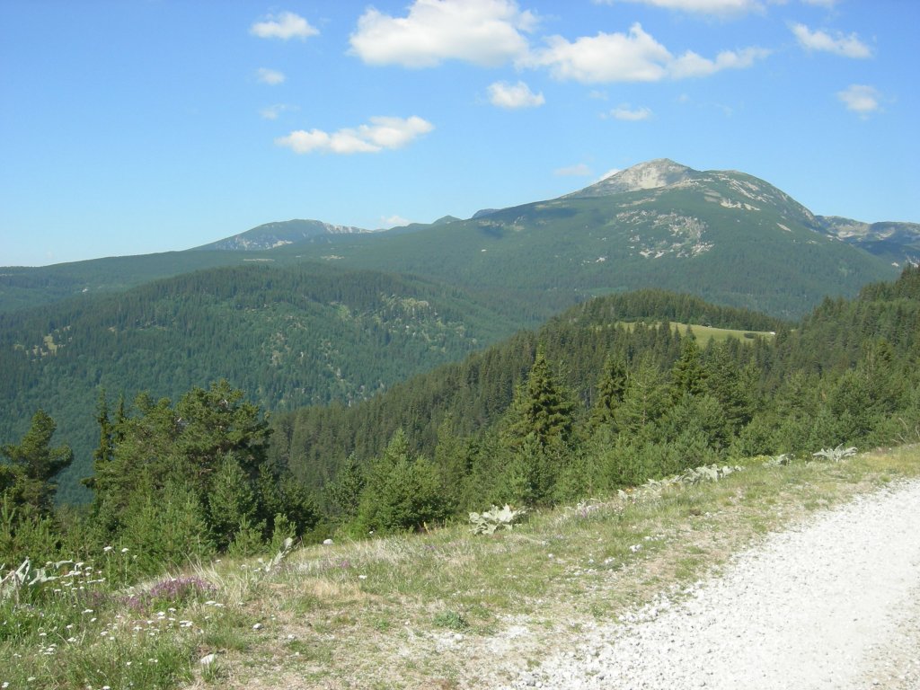 Натиснете снимката за да я уголемите
Име:DSCN0797.jpg
Прегледи:1
Размер:167.9 КБ
ID:5978761